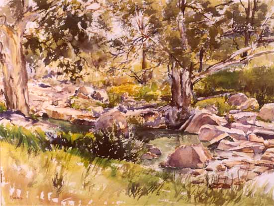 Durant SIHLALI "Juskei River, Sandton", 1981 - watercolour - 55x72 cm (PELMAMA)