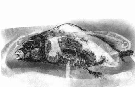 Ezrom LEGAE "Fish", 1979 - pencil on paper - 16x 33 cm (PELMAMA)