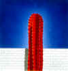 Norman CATHERINE "Red Cactus I.", 1978  - airbrush - 028x027 cm (PELMAMA)  Norman CATHERINE