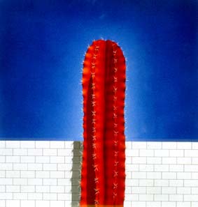 Norman CATHERINE "Red Cactus I.", 1978  - airbrush - 028x027 cm (PELMAMA)  Norman CATHERINE