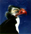 Norman CATHERINE "The critic", 1978  - airbrush - 025x022 cm (PELMAMA)  Norman CATHERINE